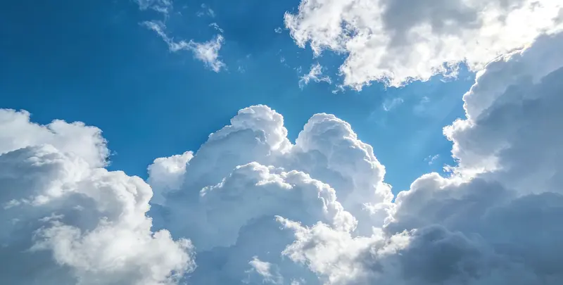 肺癌靶向39基因检测（组织）图2