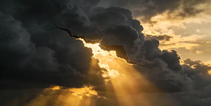 延安肺癌8基因突变检测（组织）图片1