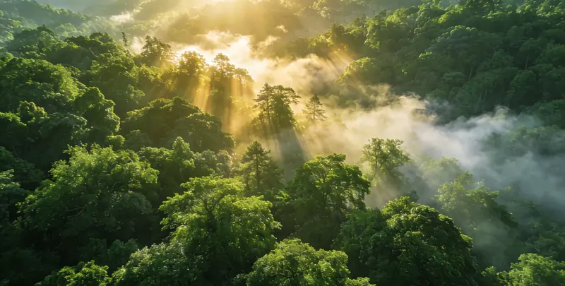 延安肺癌靶向120基因检测（组织）图片1