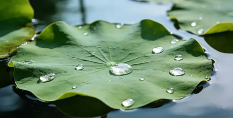 延安乳腺癌21基因mRNA表达分析图片1