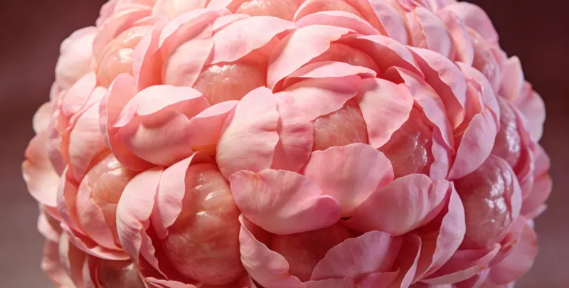 延安BRCA1/2乳腺癌卵巢癌基因检测图片1