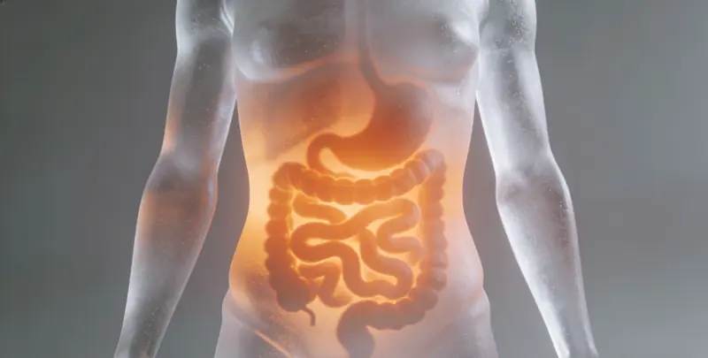 延安胃癌全面用药基因检测（组织）图片1